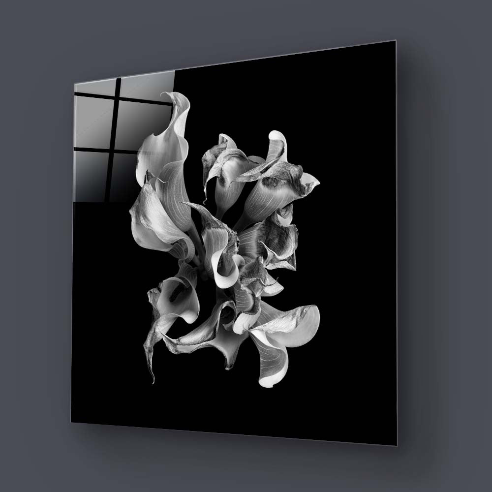 Abstract White Calla Glass Wall Art