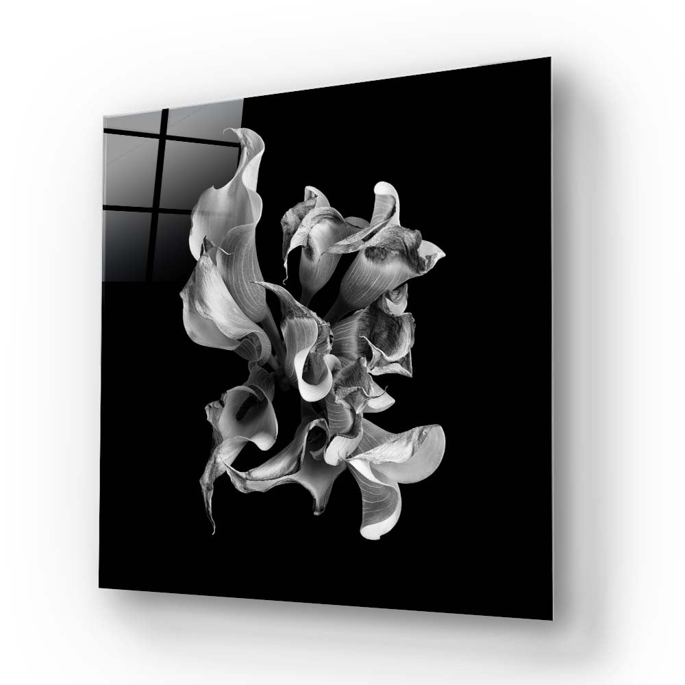 Abstract White Calla Glass Wall Art