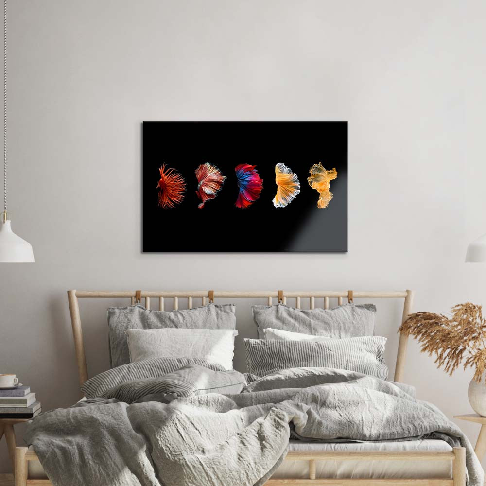 Betta Fish Tail Glass Wall Art