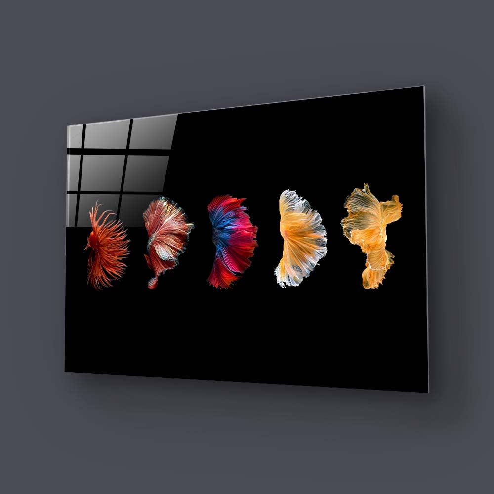 Betta Fish Tail Glass Wall Art