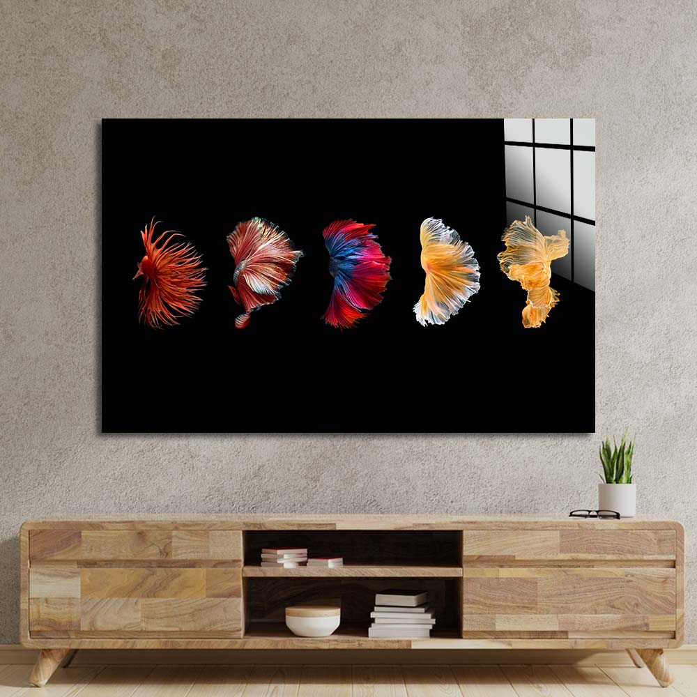 Betta Fish Tail Glass Wall Art