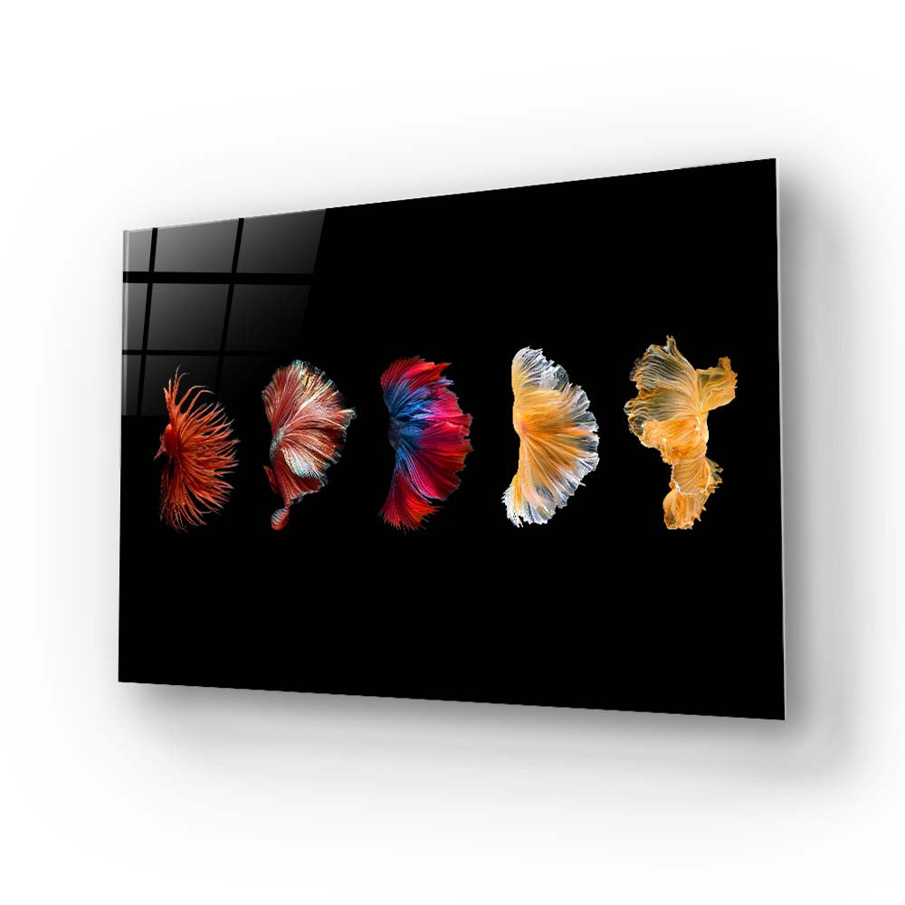 Betta Fish Tail Glass Wall Art