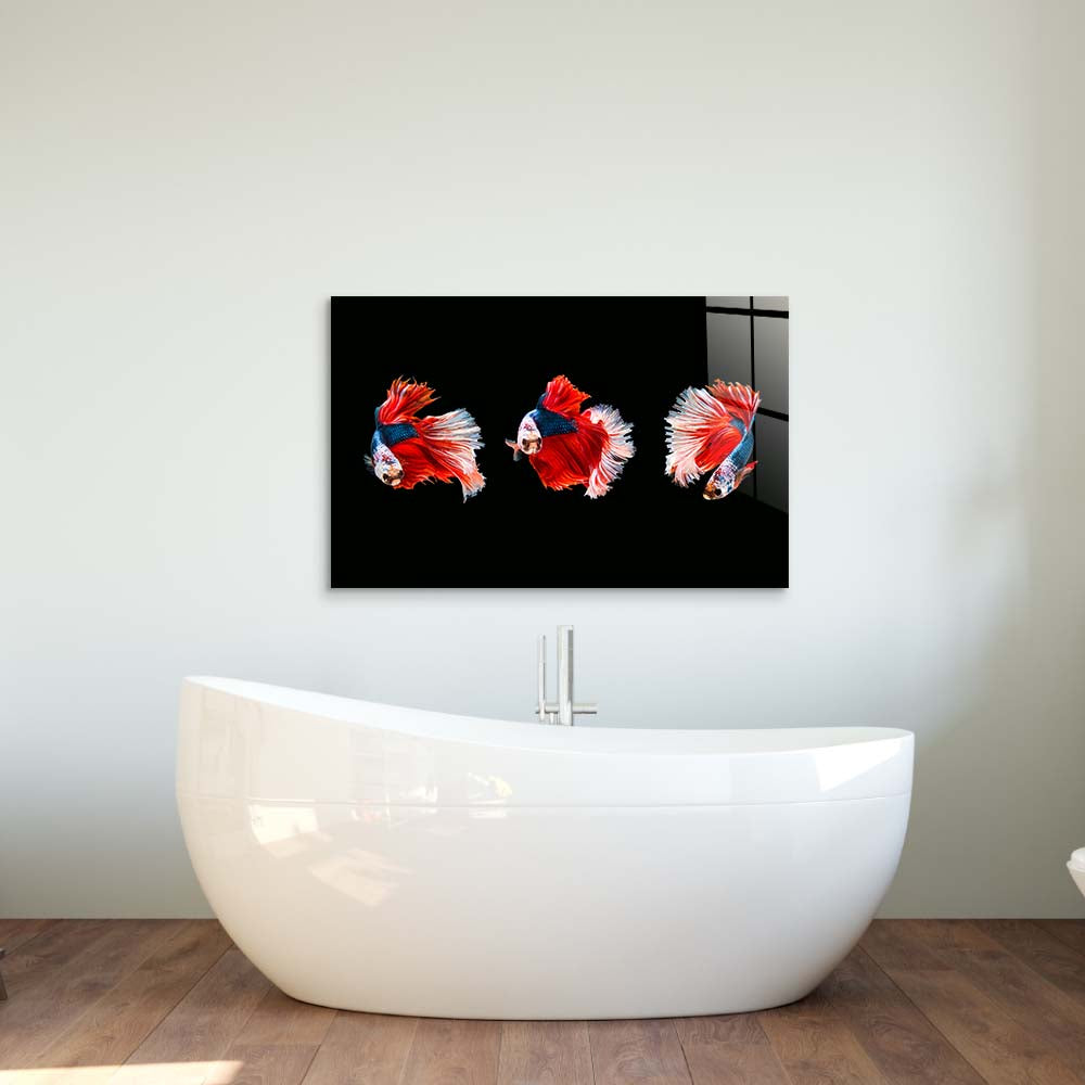 Halfmoon Beta Fish Glass Wall Art