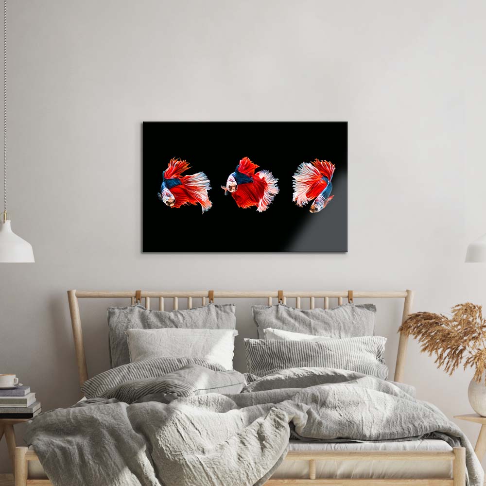 Halfmoon Beta Fish Glass Wall Art