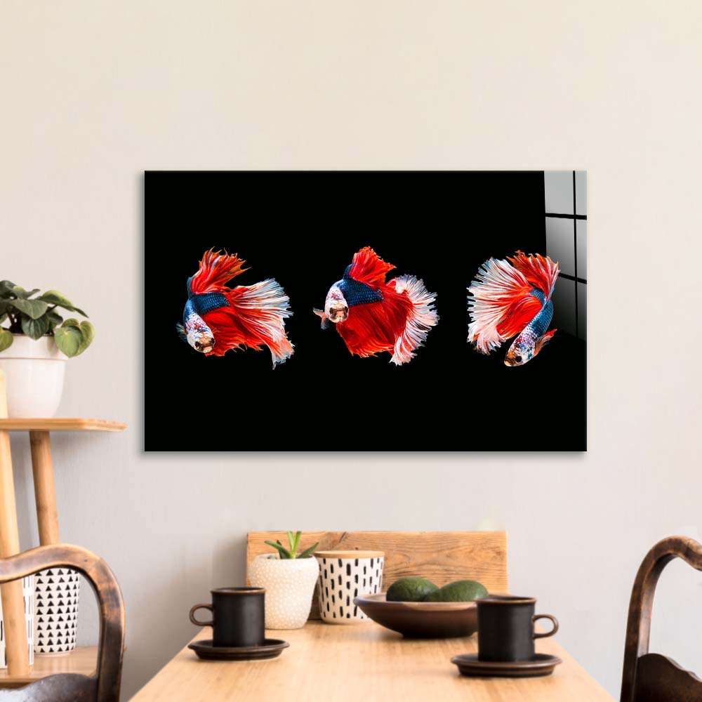 Halfmoon Beta Fish Glass Wall Art