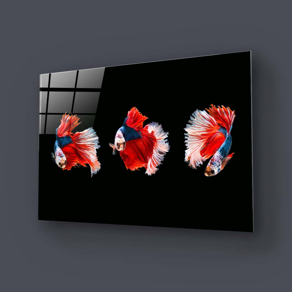 Halfmoon Beta Fish Glass Wall Art