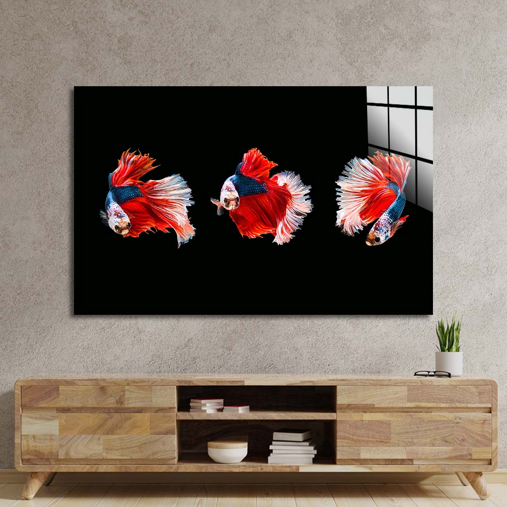 Halfmoon Beta Fish Glass Wall Art