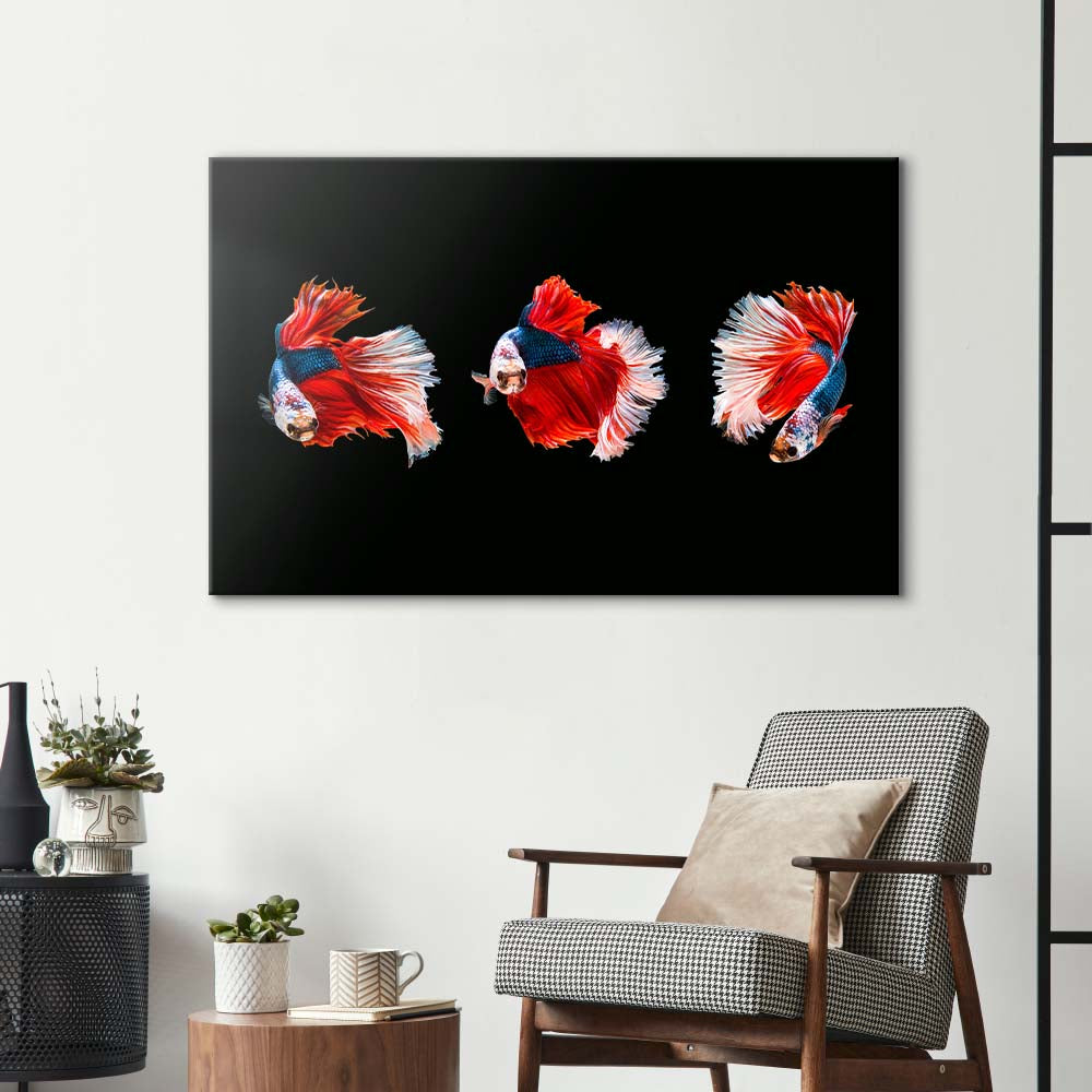 Halfmoon Beta Fish Glass Wall Art