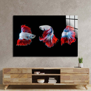 Halfmoon Betta Fish 2 Glass Wall Art