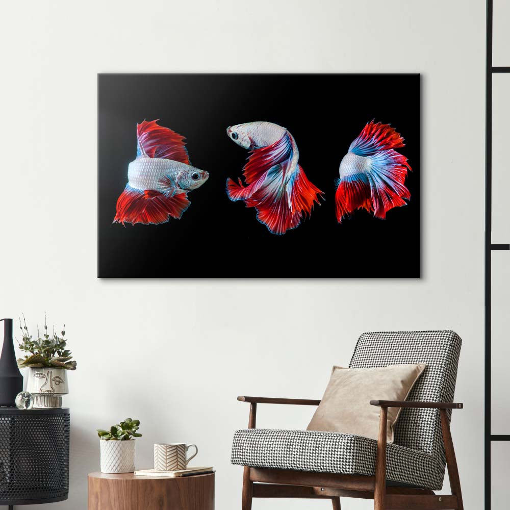 Halfmoon Betta Fish 2 Glass Wall Art