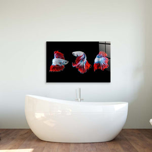 Halfmoon Betta Fish 2 Glass Wall Art