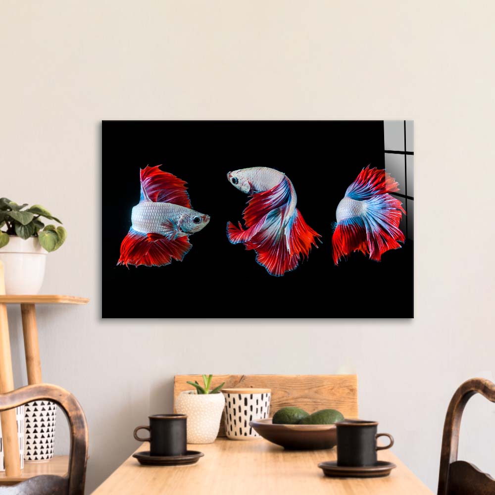 Halfmoon Betta Fish 2 Glass Wall Art