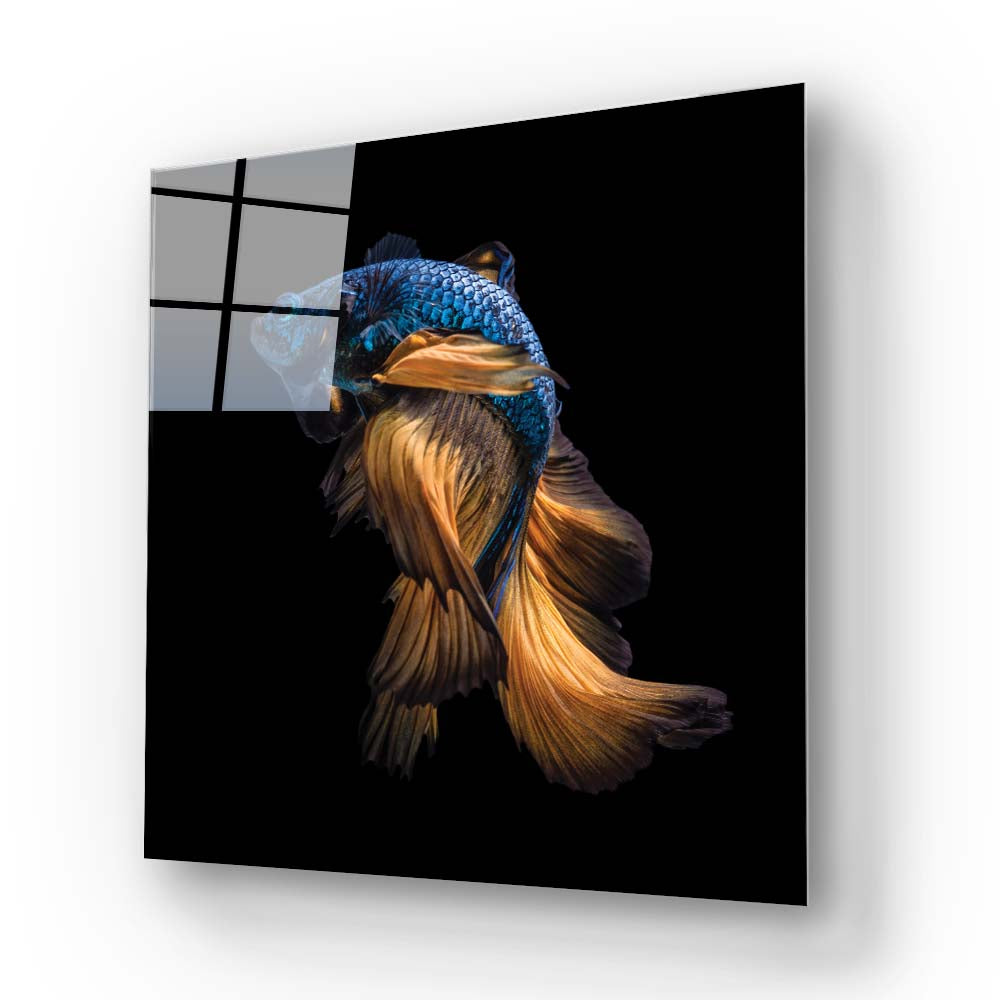Betta Fish Glass Wall Art