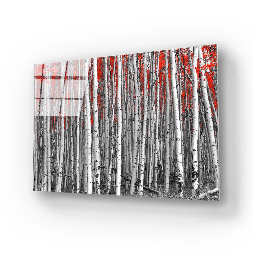 Birch Trees with Red Flowers Glass Wall Art