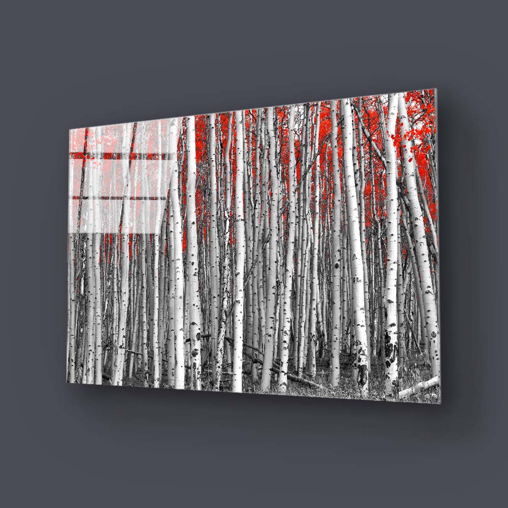 Birch Trees with Red Flowers Glass Wall Art