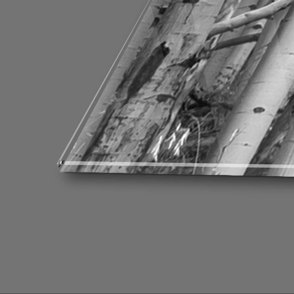 Birch Trees with Red Flowers Glass Wall Art