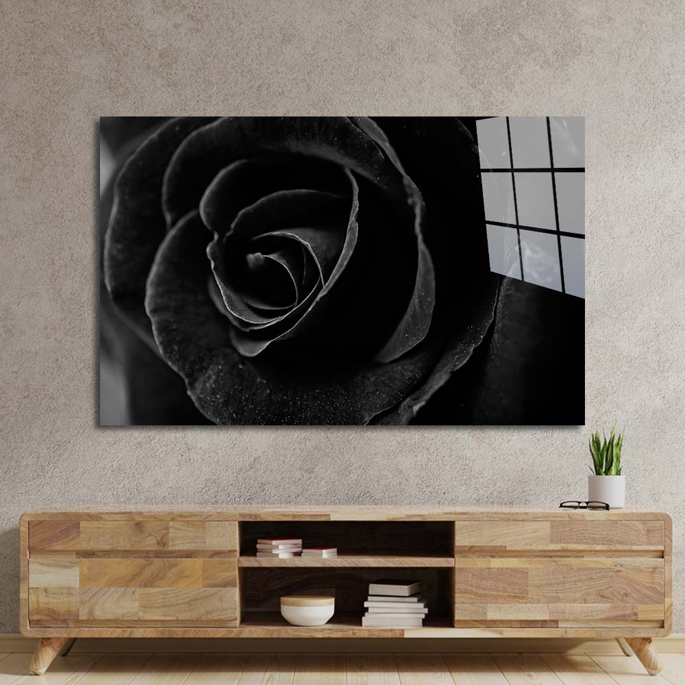 Black Rose Close Up Glass Wall Art