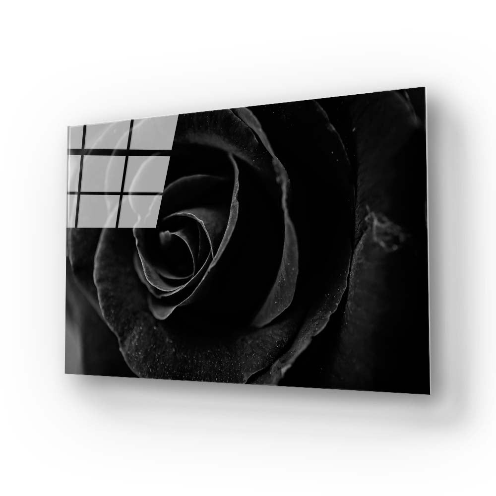 Black Rose Close Up Glass Wall Art