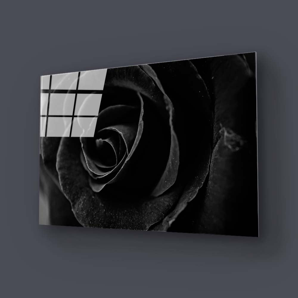 Black Rose Close Up Glass Wall Art