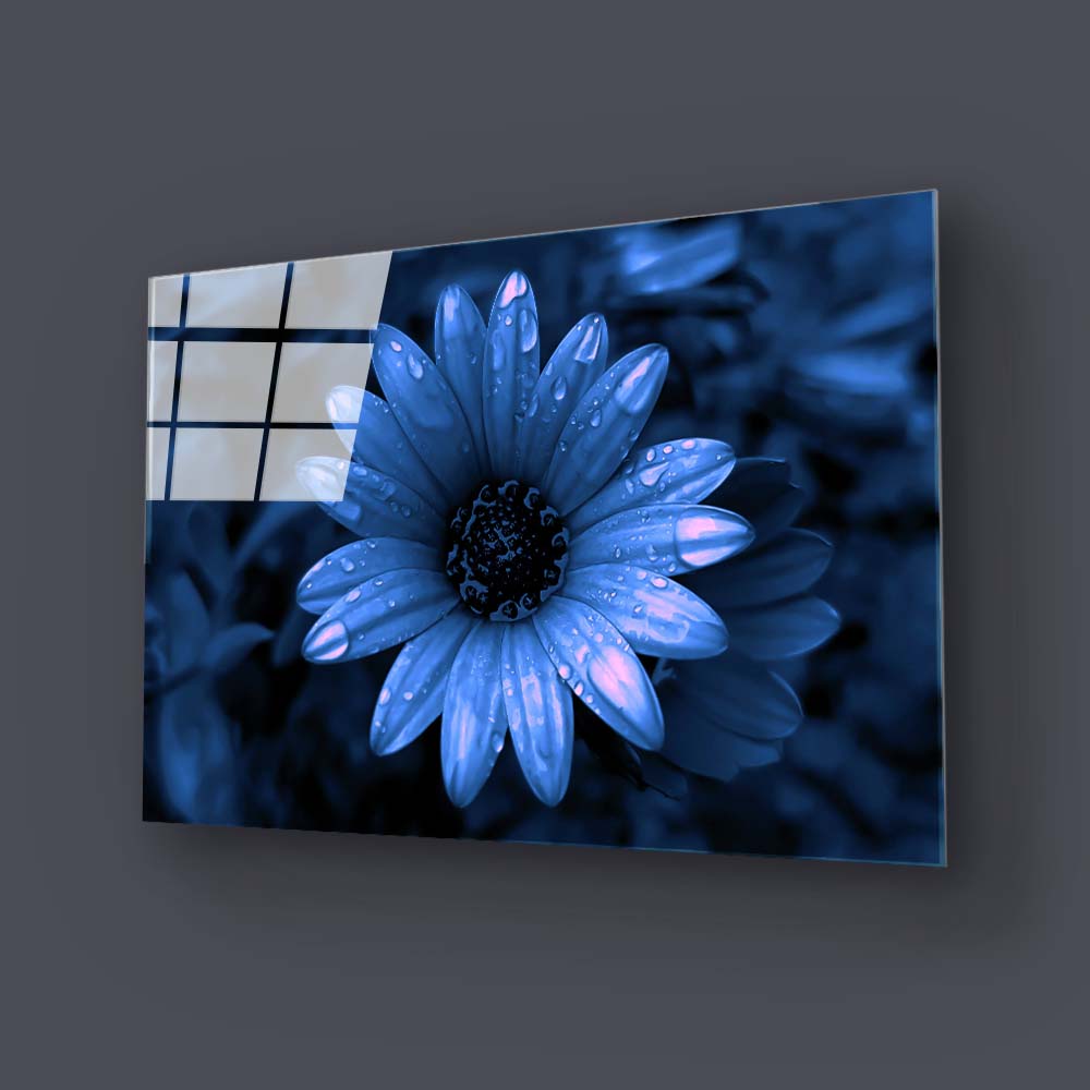 Blue Cape Daisy with Pink Droplets Glass Wall Art