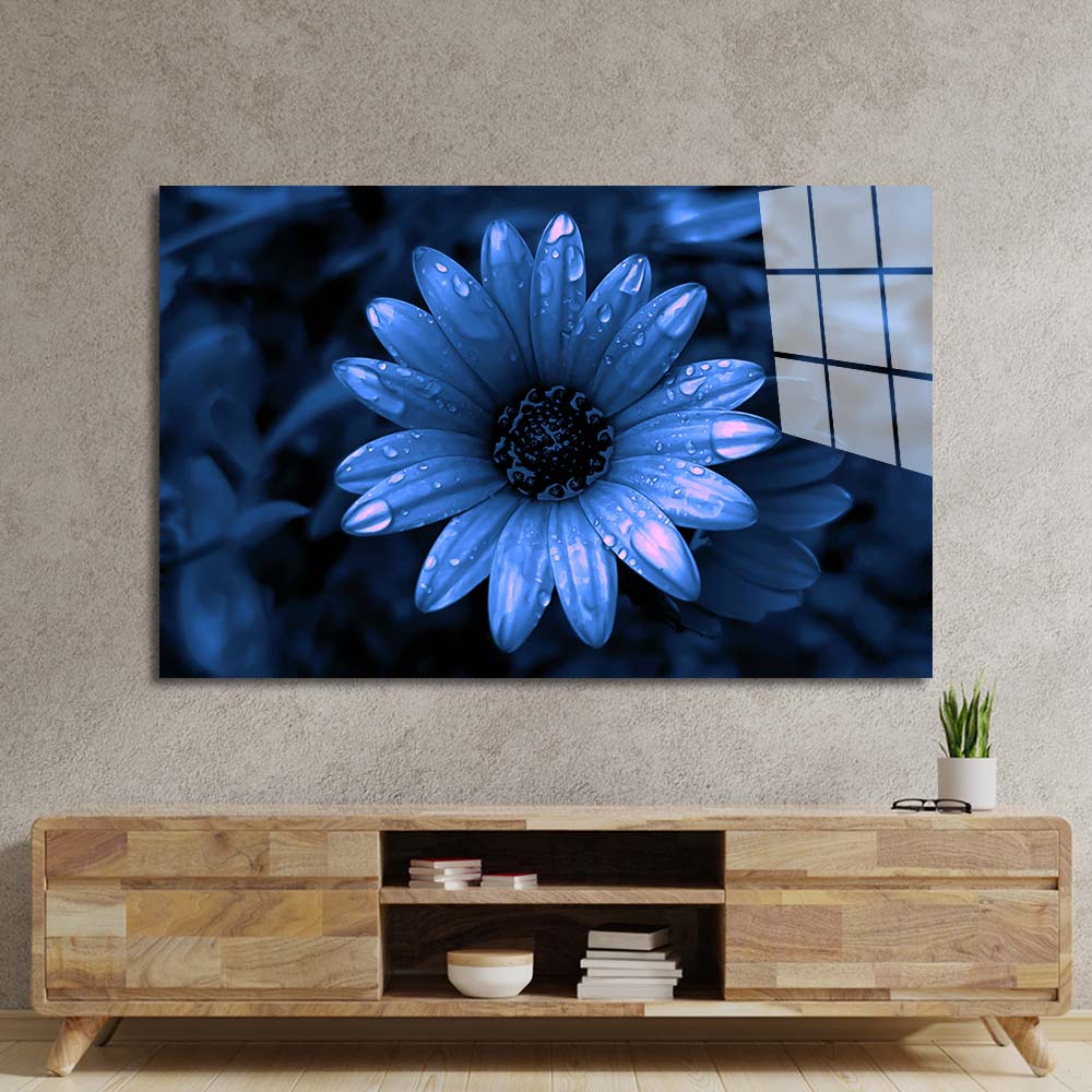 Blue Cape Daisy with Pink Droplets Glass Wall Art