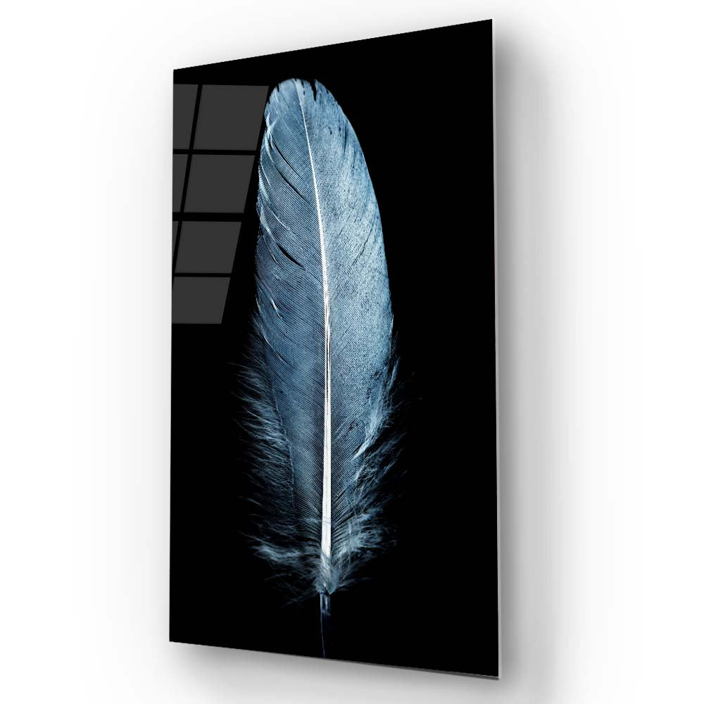 Blue Feather on a Black Background Glass Wall Art