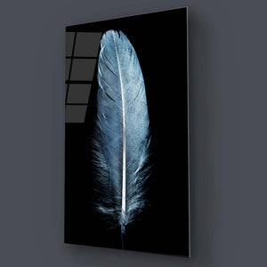 Blue Feather on a Black Background Glass Wall Art