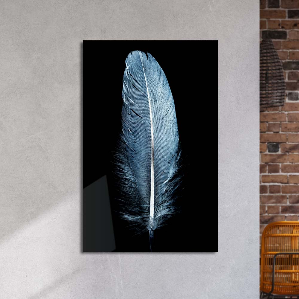 Blue Feather on a Black Background Glass Wall Art