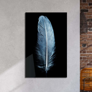 Blue Feather on a Black Background Glass Wall Art