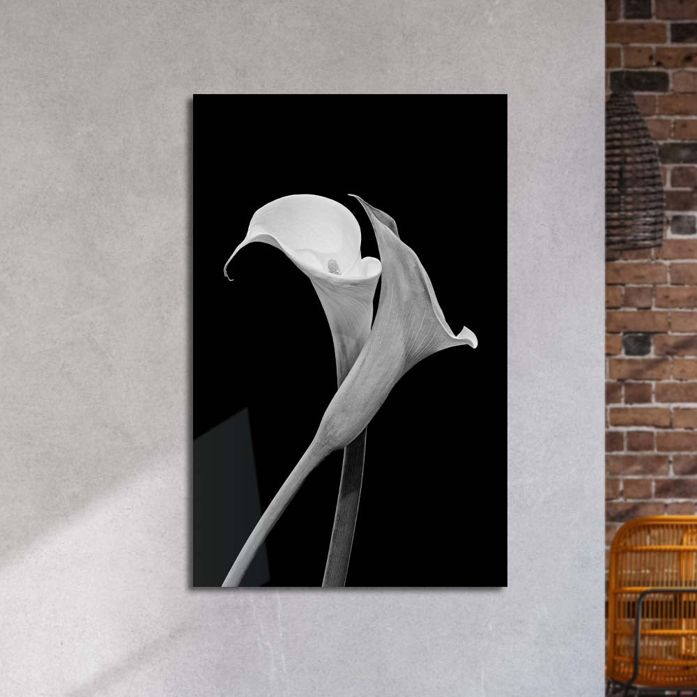 Calla Lily Black & White Photo Glass Wall Art