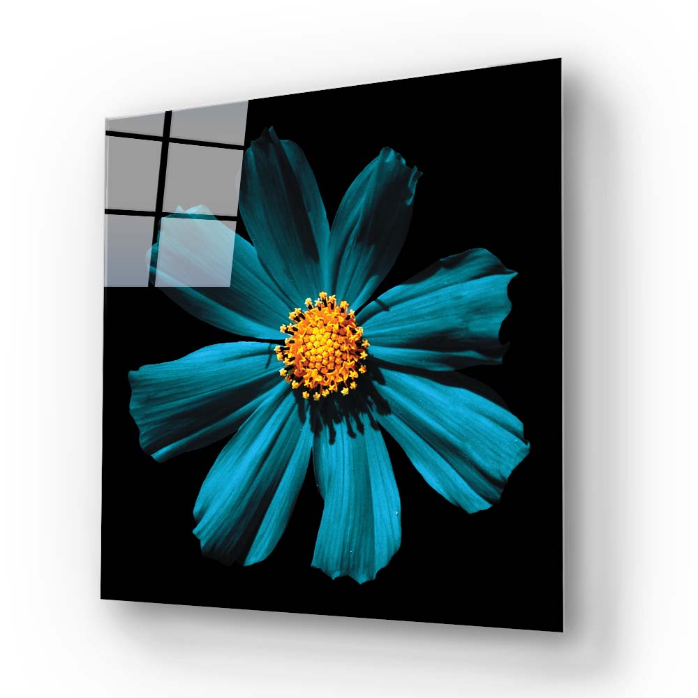 Cerulean Daisy Glass Wall Art