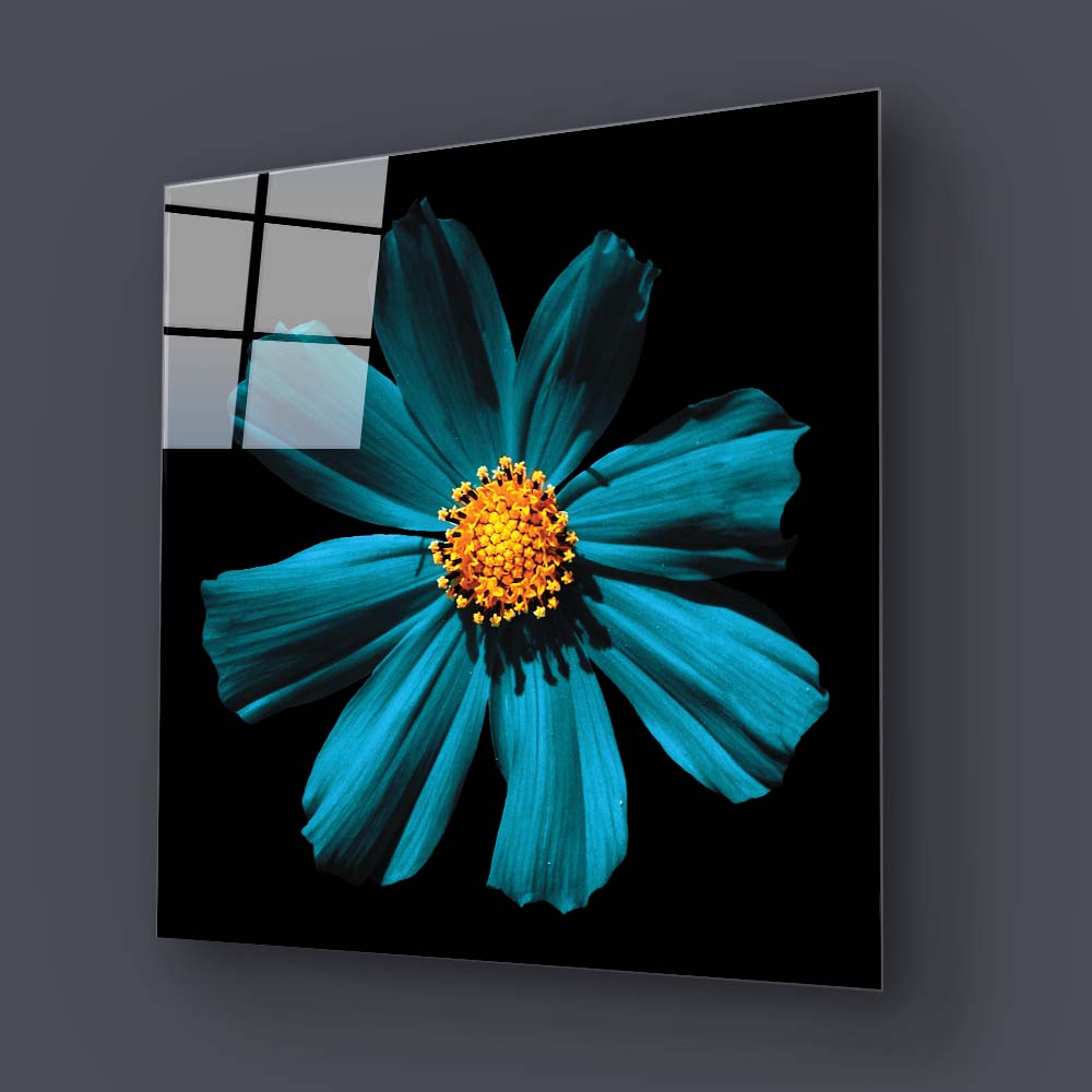 Cerulean Daisy Glass Wall Art