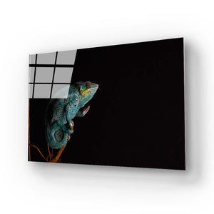 Chameleon Black Background Glass Wall Art