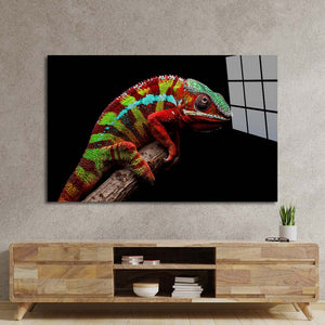 Colourful Chameleon Glass Wall Art