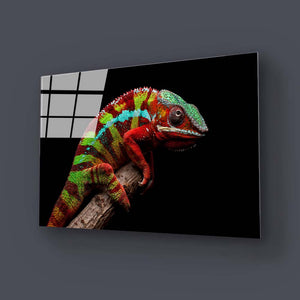 Colourful Chameleon Glass Wall Art