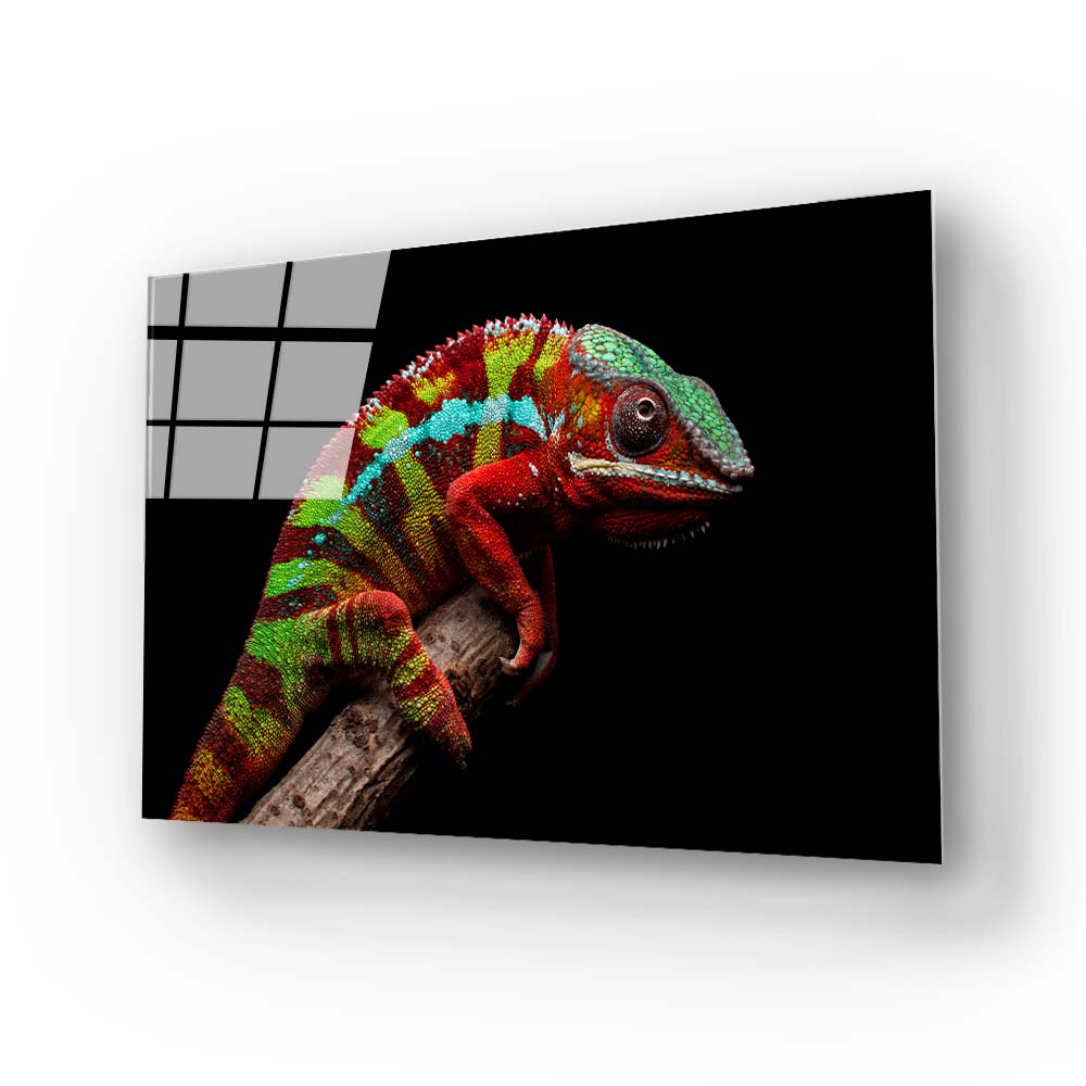 Colourful Chameleon Glass Wall Art