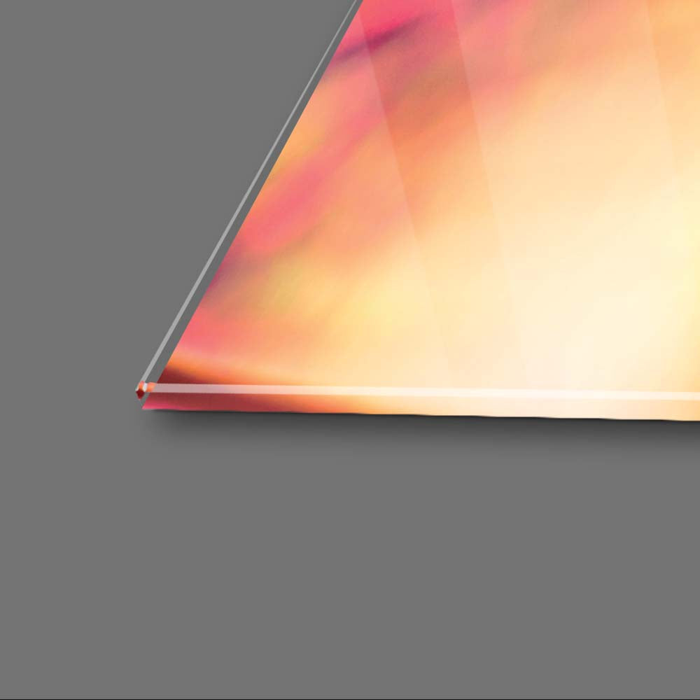 Colourful Dandelion Glass Wall Art