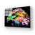 Colourful Eagle Painting in Black Background Glass Wall Art