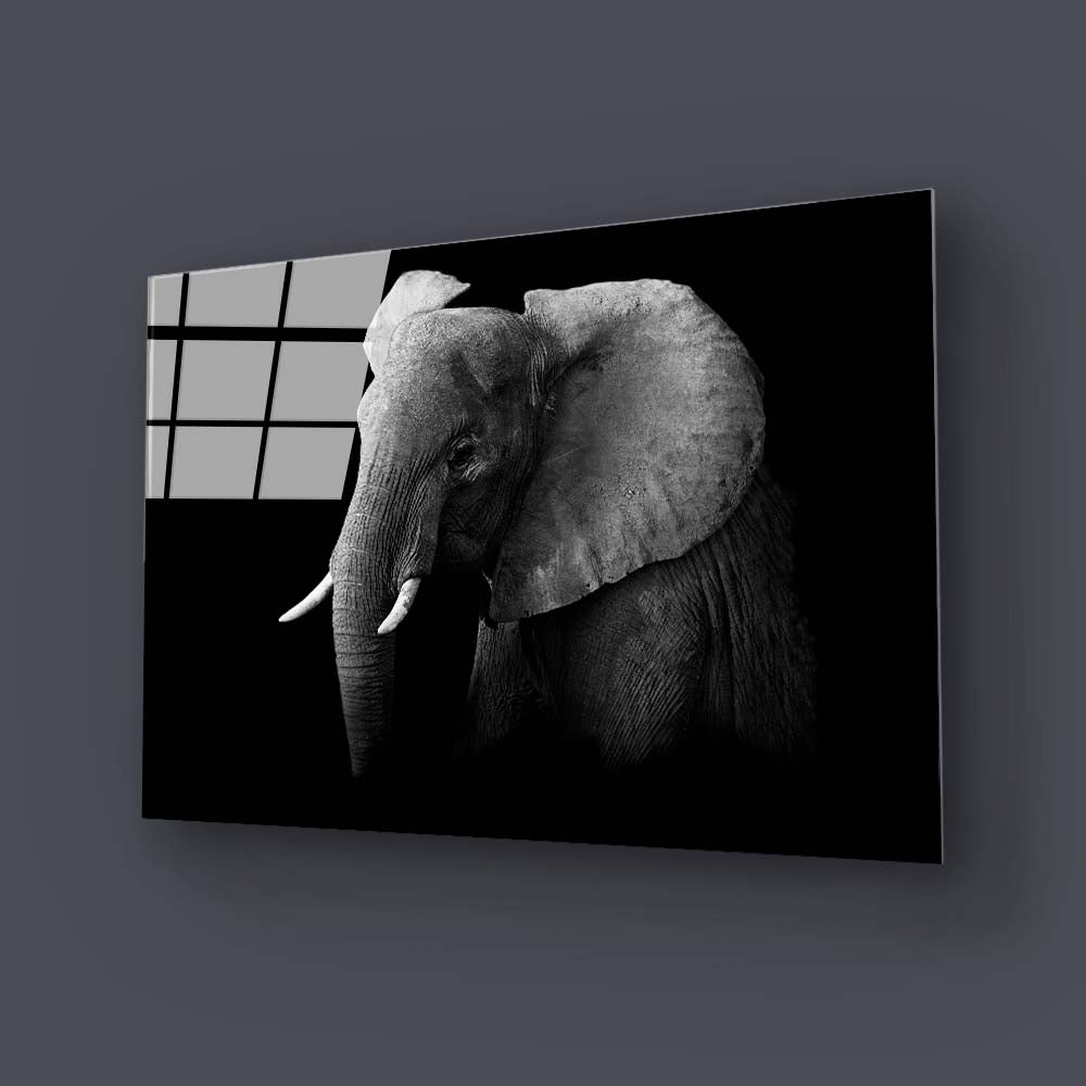 Elephant Black and White Glass Wall Art