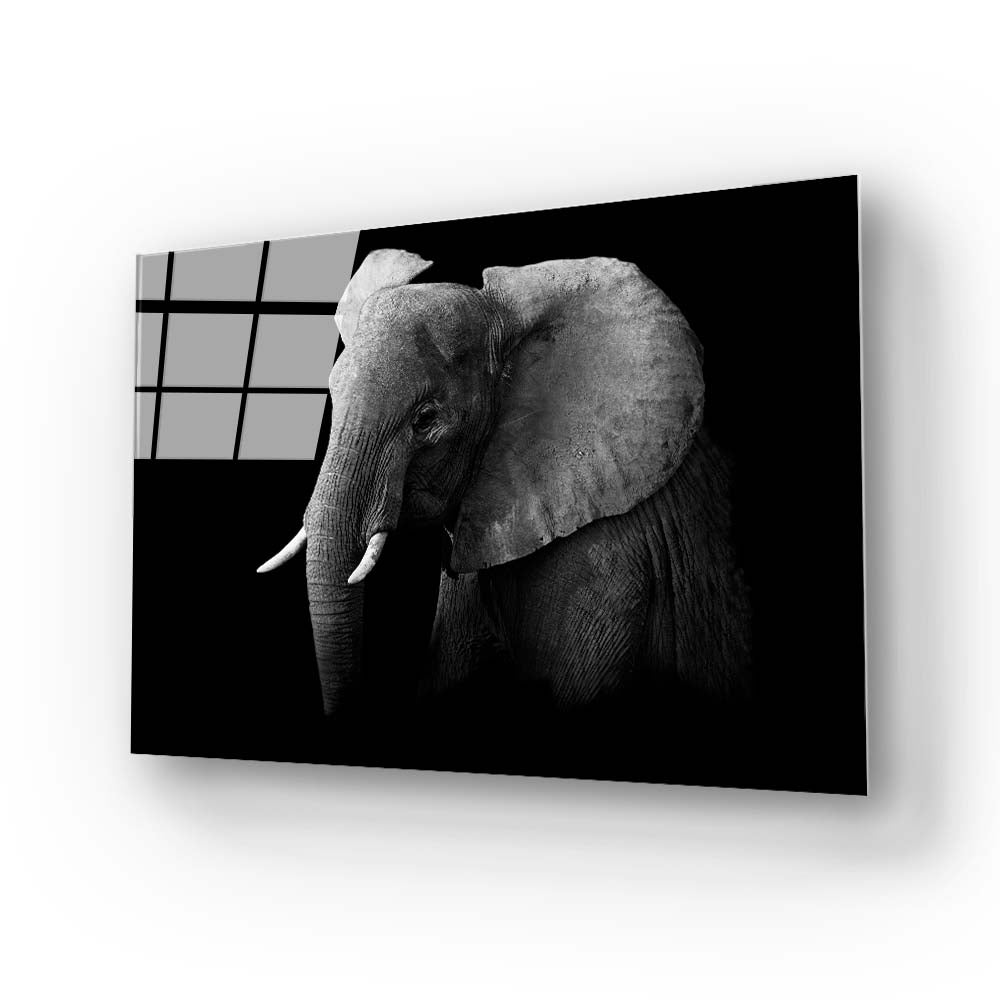 Elephant Black and White Glass Wall Art