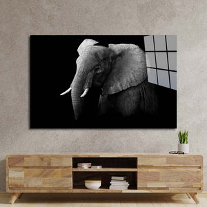 Elephant Black and White Glass Wall Art