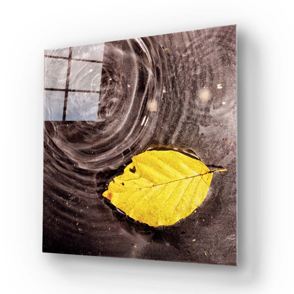 Fallen Autumn Leaf on Water Glass Wall Art