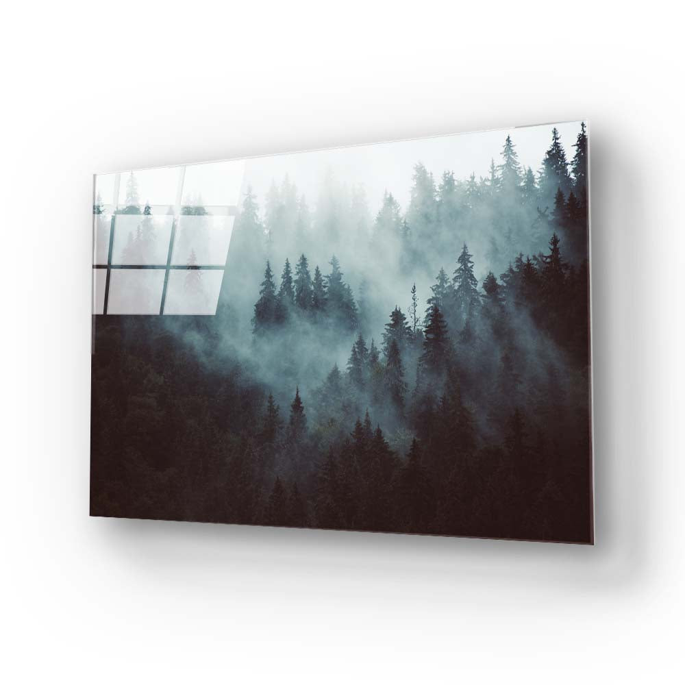 Foggy Forest Glass Wall Art