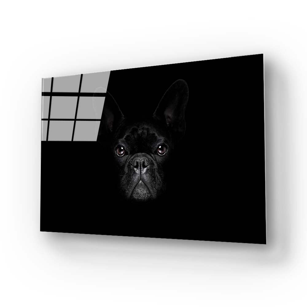 French Bulldog Black and White Photo Glass Wall Art