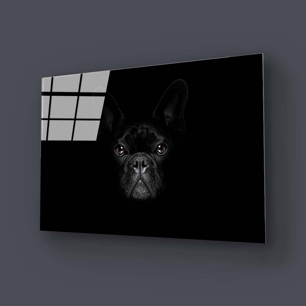French Bulldog Black and White Photo Glass Wall Art