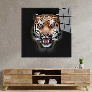 Front-Facing Tiger in Spotlight Glass Wall Art