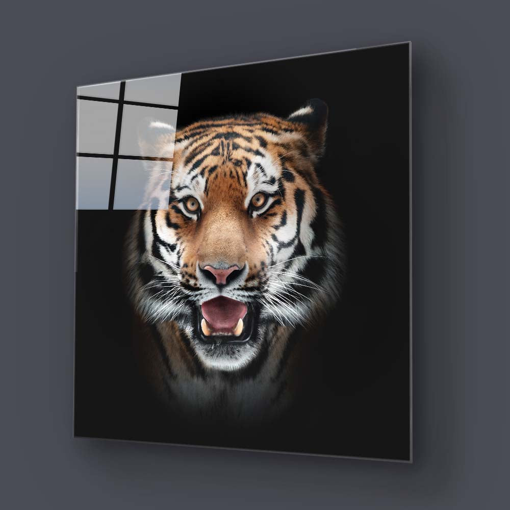 Front-Facing Tiger in Spotlight Glass Wall Art