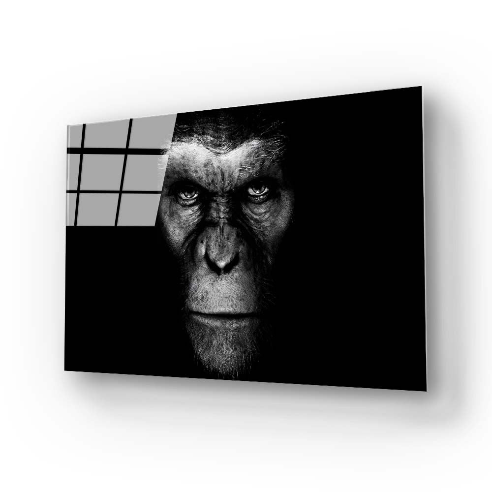 Gorilla in Snow Glass Wall Art