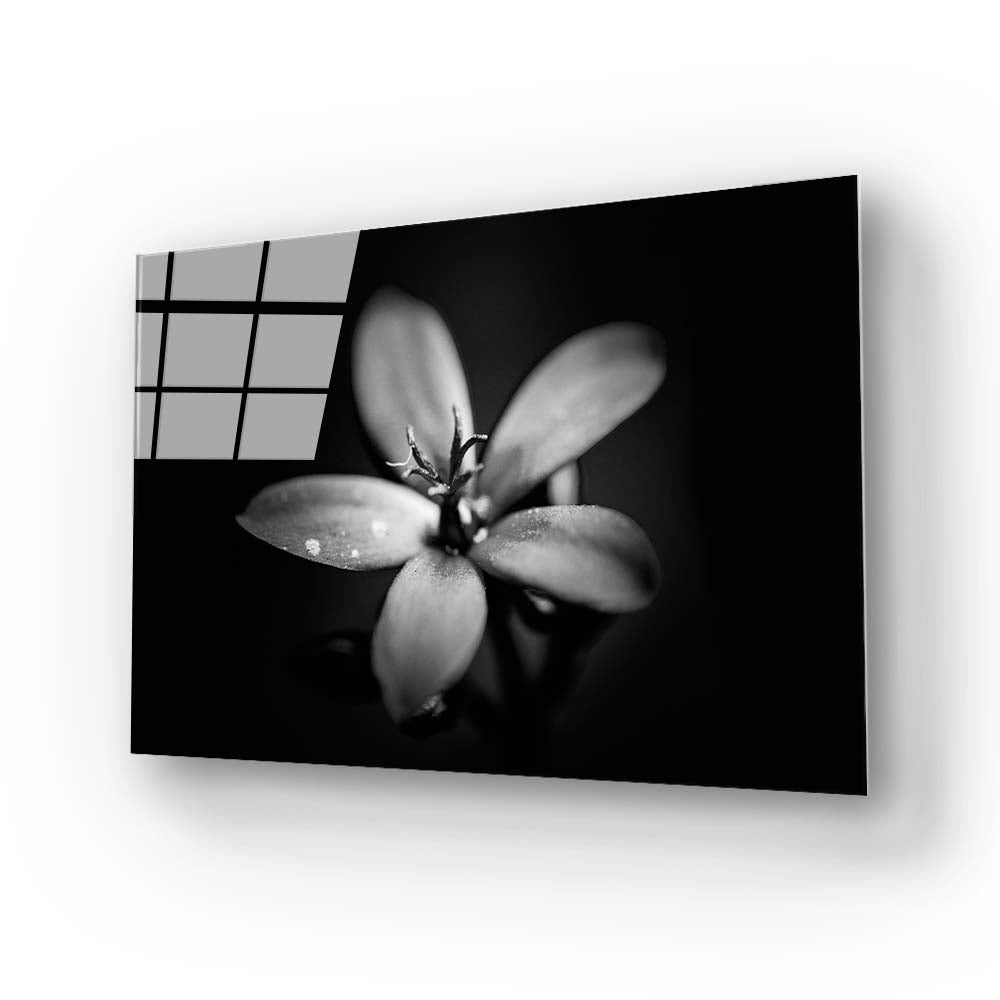 Hawthorn Black & White Glass Wall Art