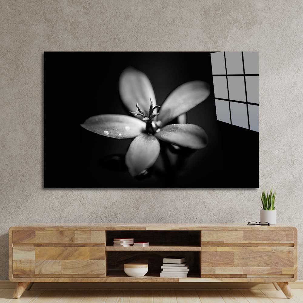 Hawthorn Black & White Glass Wall Art